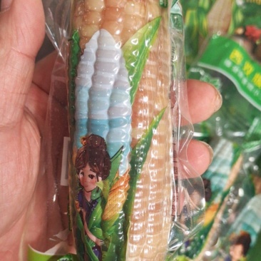 香糯小玉米