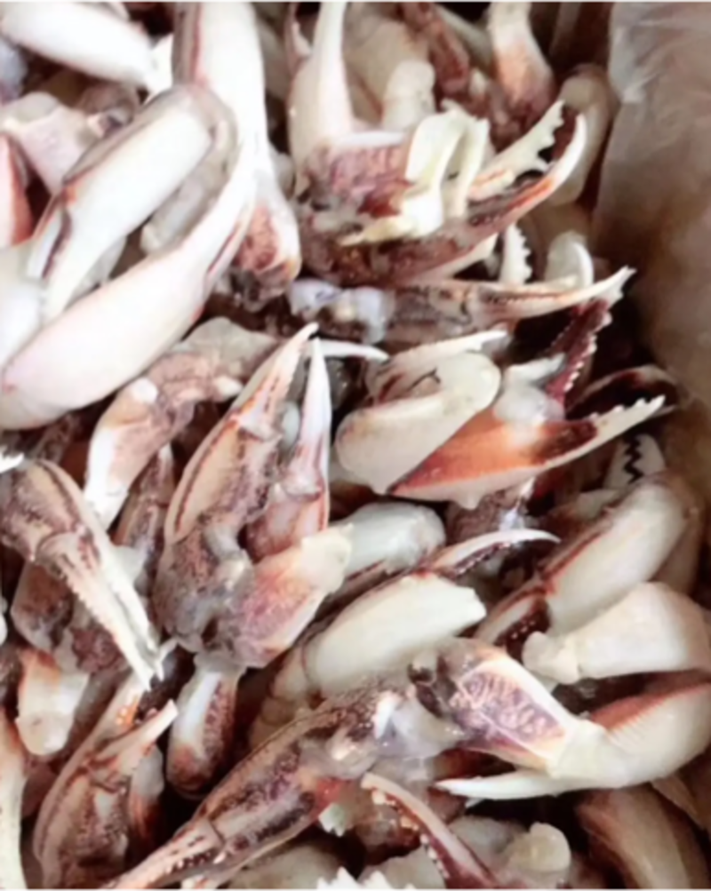 沙蟹脚蟹钳单体单冻一件20斤全国代发货
