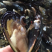 鲜活青口贝一斤在8个左右鲜活发货全国代发货