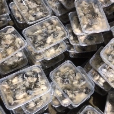 牡蛎肉生蚝肉生蚝肉鲜活剥肉全国发货