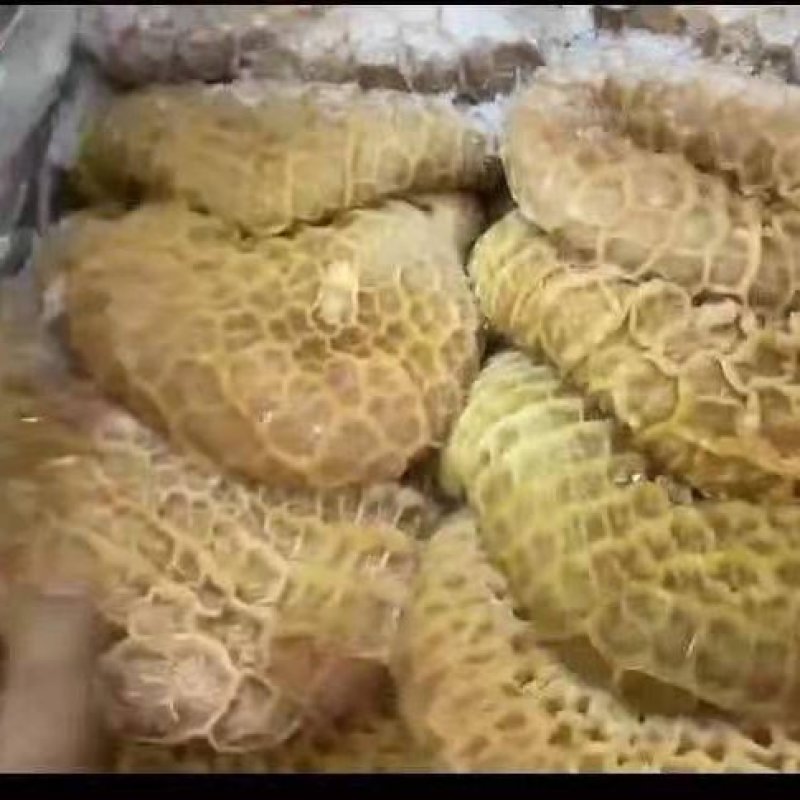 4407金钱肚，现货。价格也不贵