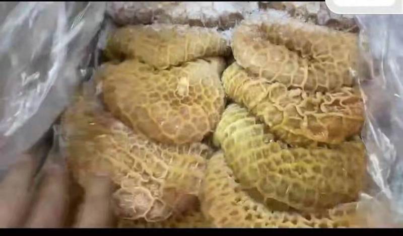 4407金钱肚，现货。价格也不贵