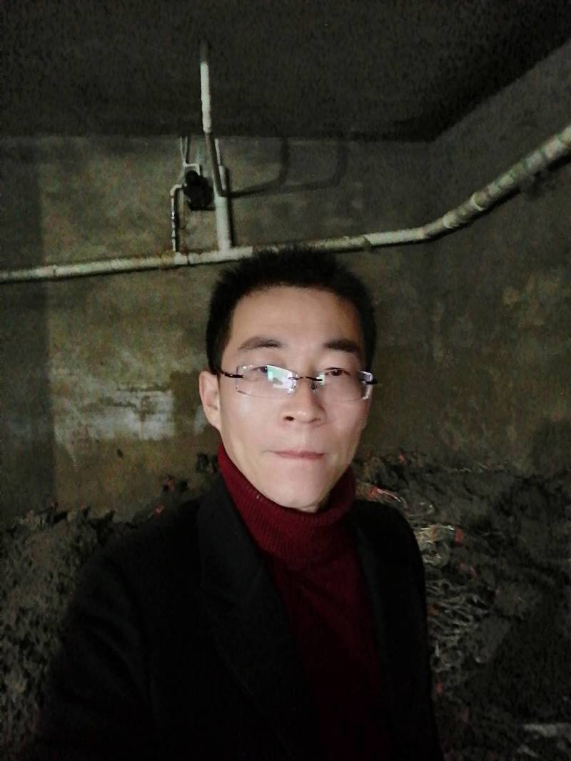 葡萄苗