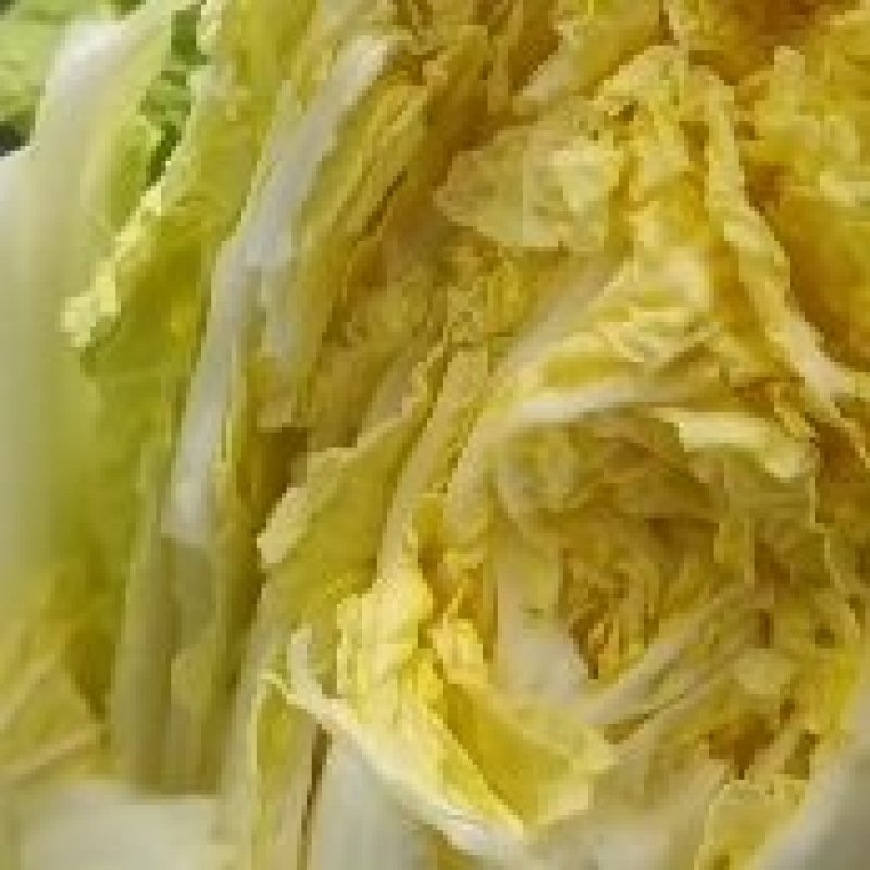 精品黄心娃娃菜质量高品质优