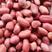 四粒红，红皮花生米，颗粒饱满，颜色红，各种规格，内蒙吉林
