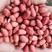 四粒红，红皮花生米，颗粒饱满，颜色红，各种规格，内蒙吉林