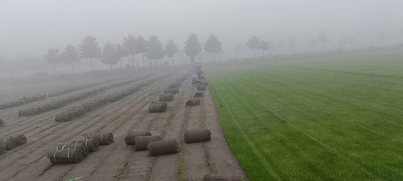 精品交播草百慕大混播