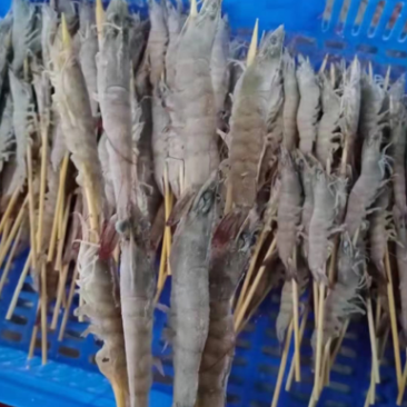 品掌门串虾烧烤材料虾烧烤虾冻虾批发