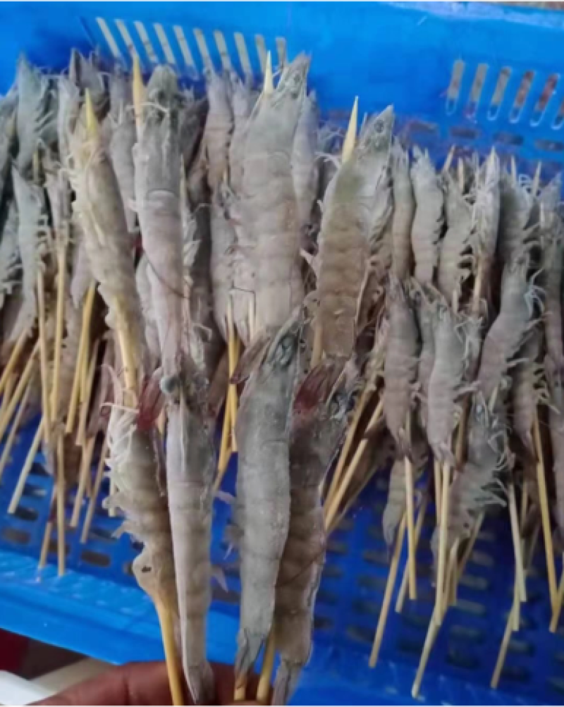 品掌门串虾烧烤材料虾烧烤虾冻虾批发