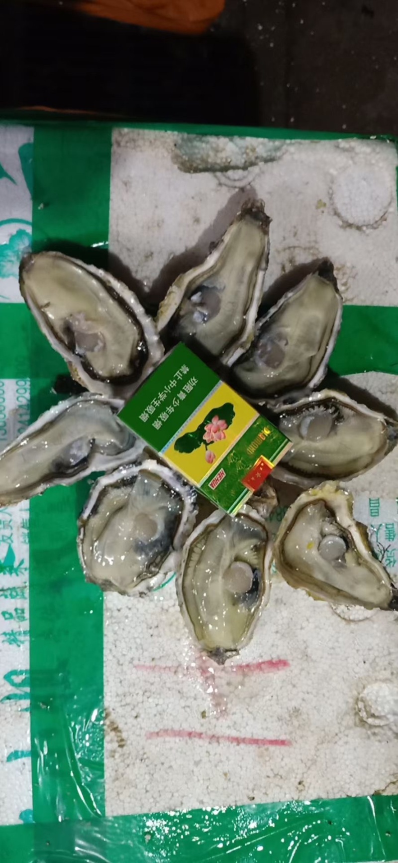 三倍体生蚝乳山三倍体自家海蛎子现捞现发