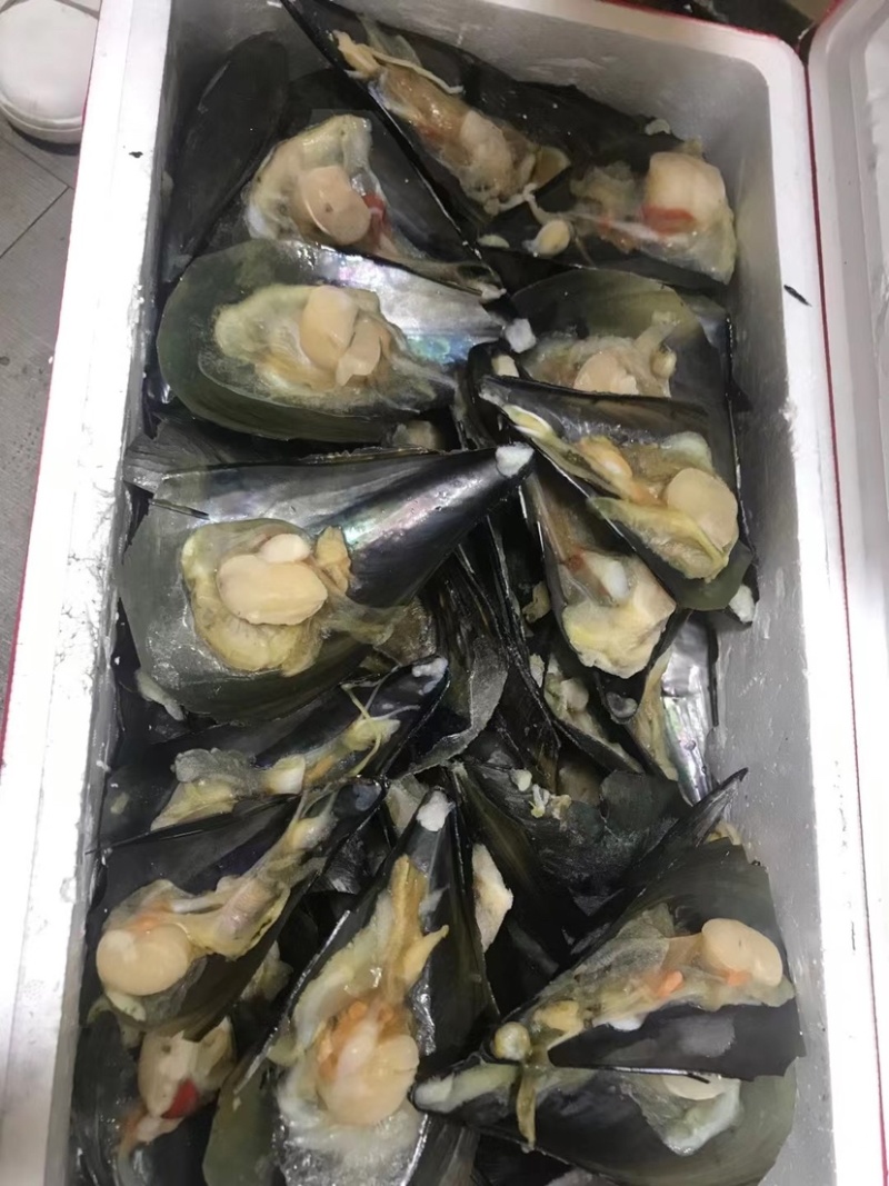 海鲜半壳带子15斤冷冻贝类绿贝带子约150个