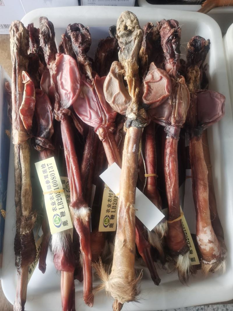 东北鹿场直供梅花鹿鹿鞭送礼泡酒专用