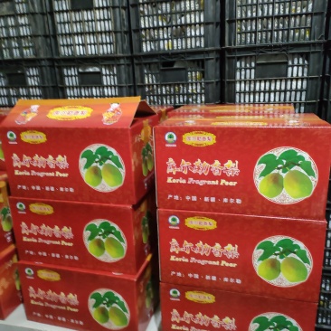 新疆库尔勒香梨