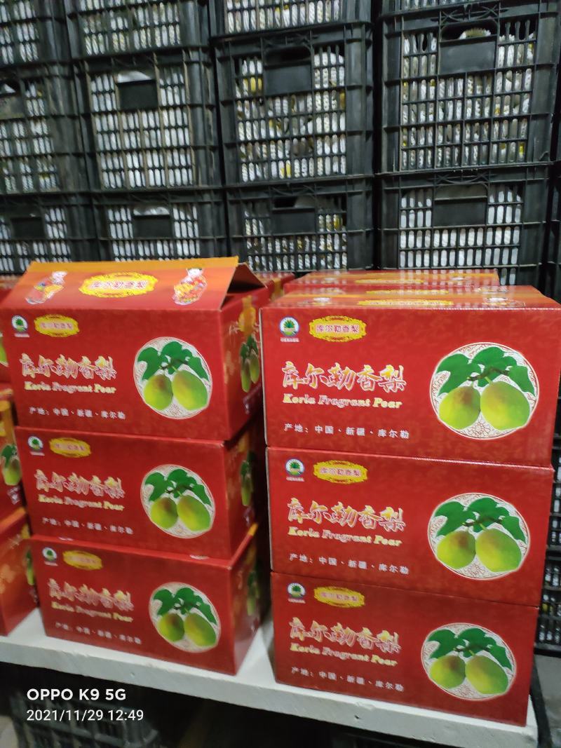 新疆库尔勒香梨