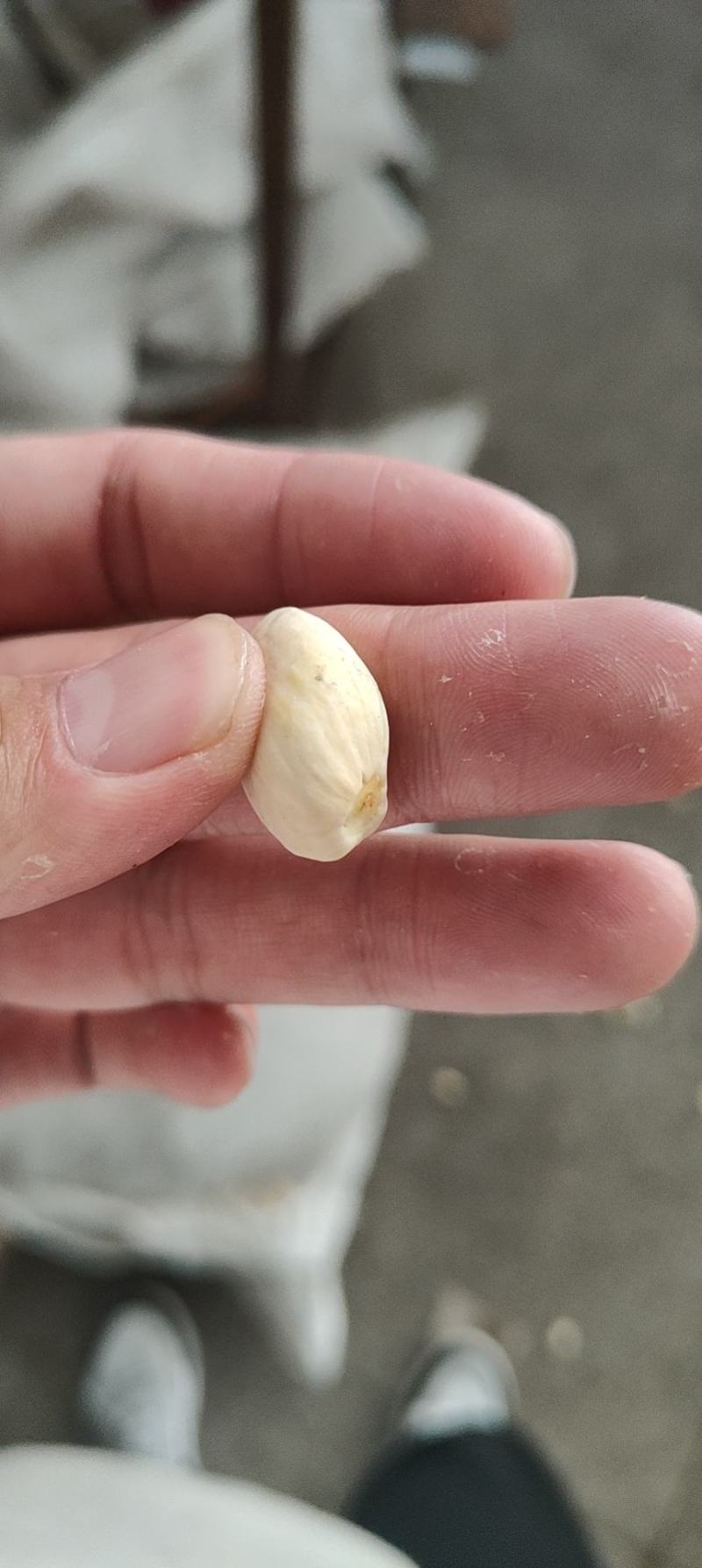 （电商专用）美国大自然开心果（大果）净重一箱19.8