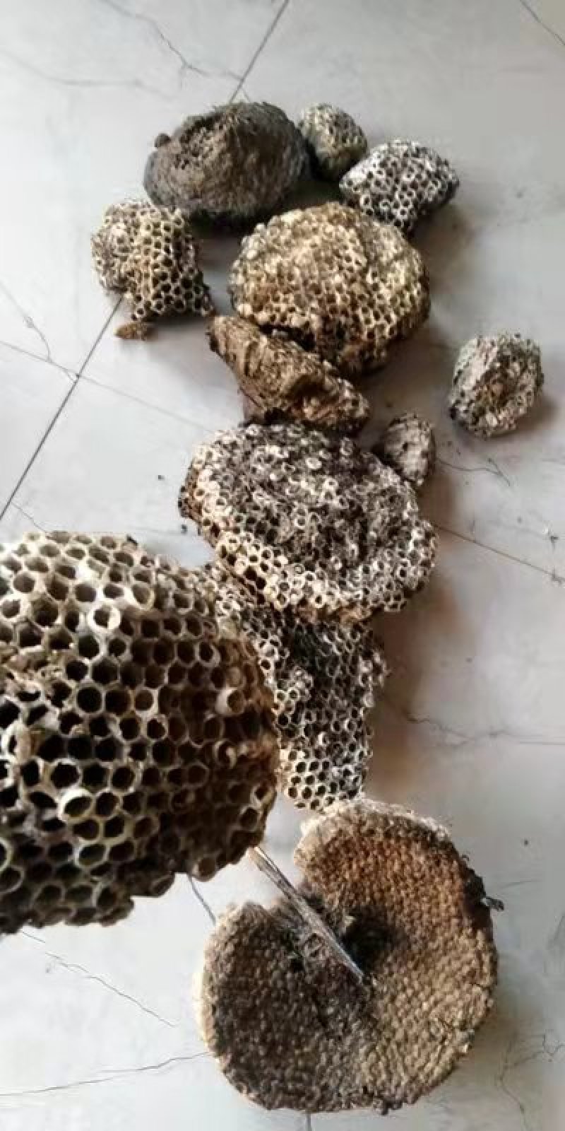 蜂房
