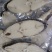 鳕鱼片