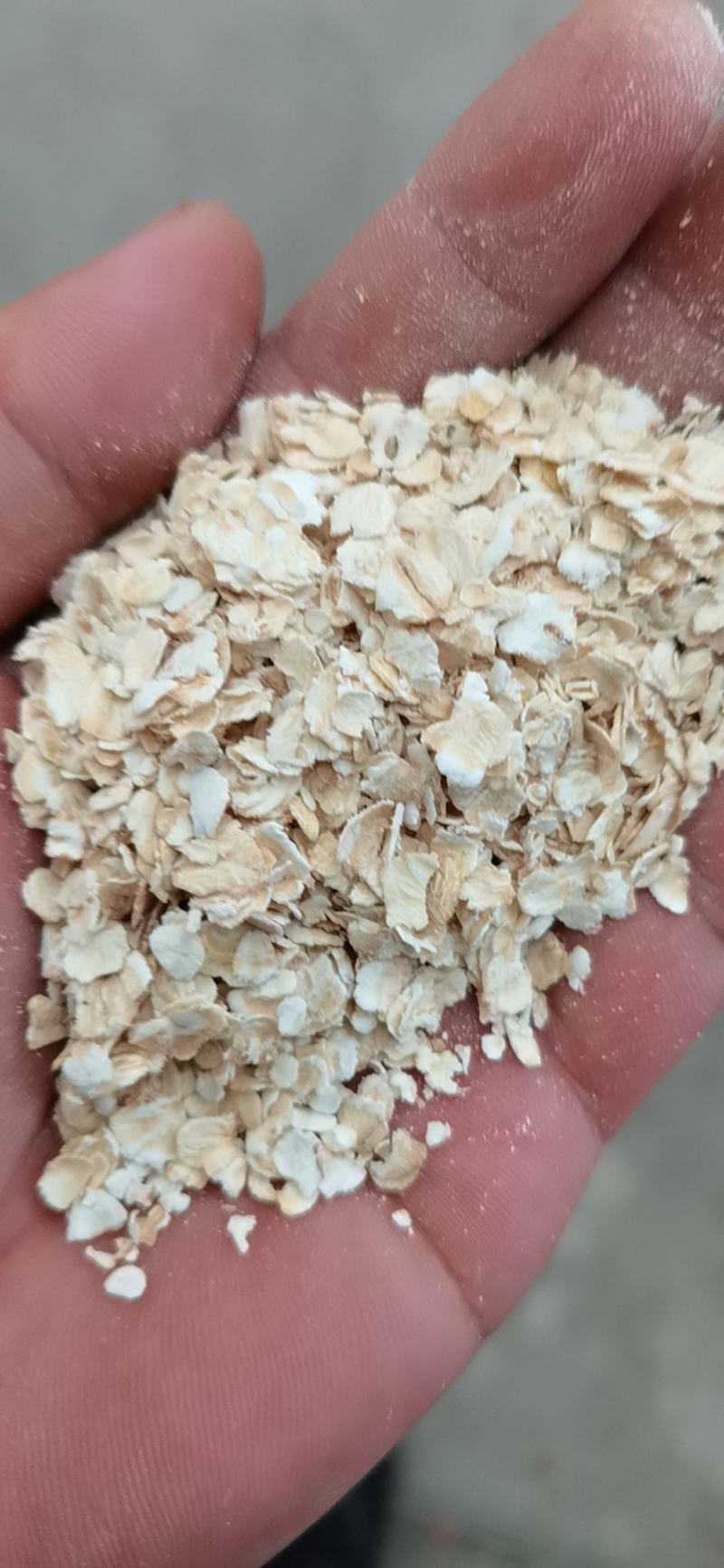 燕麦片，生燕麦片，熟黑燕麦片，熟白燕麦片