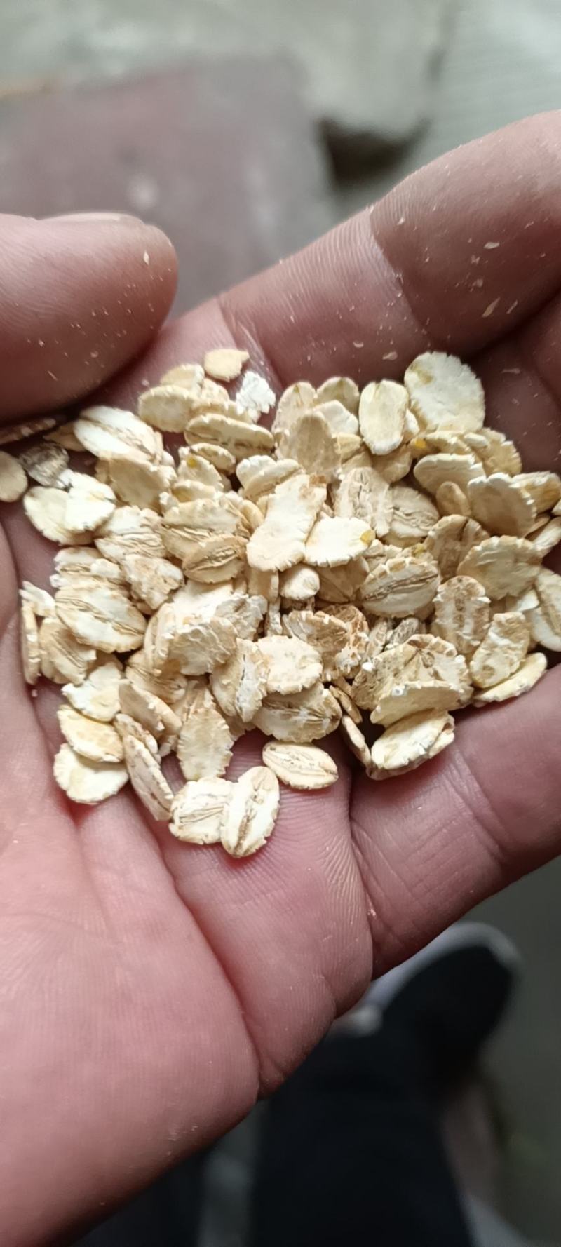 燕麦片，生燕麦片，熟黑燕麦片，熟白燕麦片