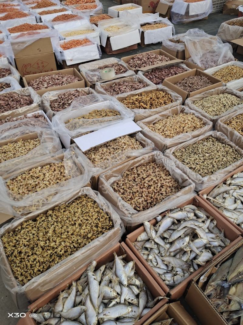 山东冯家金钩海米！虾仁自家加工批发零售大小都有一手货源
