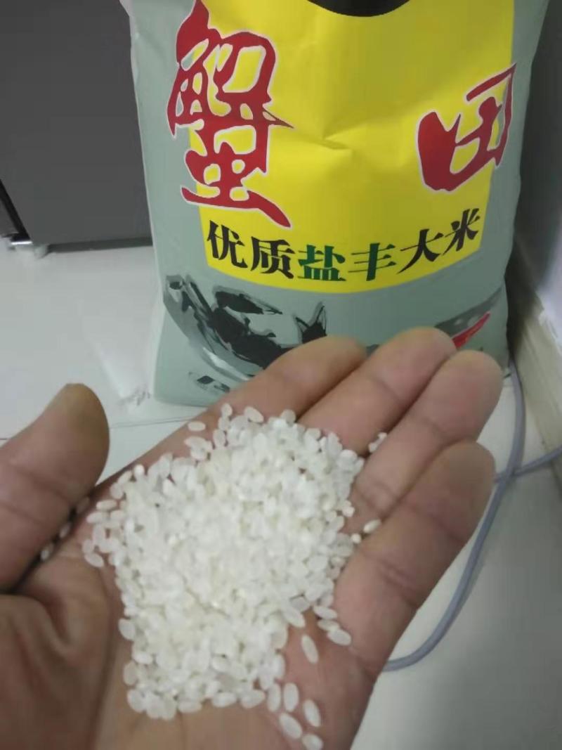 大米盘锦稻田大米上市批发米香浓郁货量充足