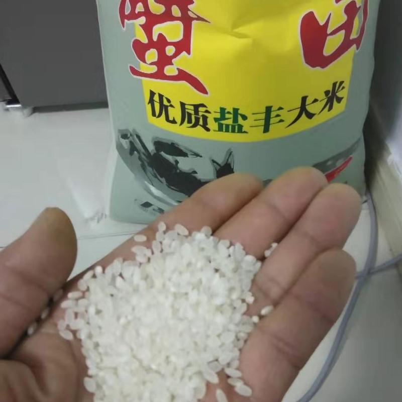 大米盘锦稻田大米上市批发米香浓郁货量充足