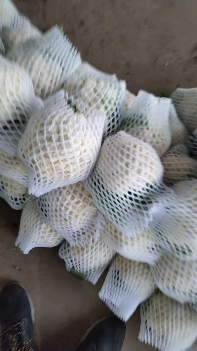 香葱，精品香葱，万亩香葱产地，一手货源，各种精品蔬菜