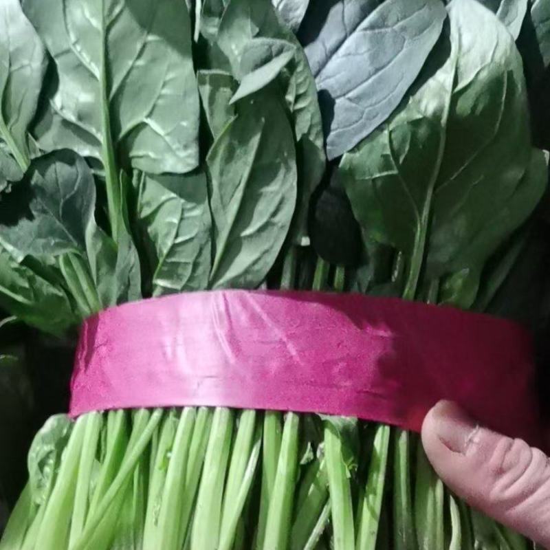 香葱，精品香葱，万亩香葱产地，一手货源，各种精品蔬菜