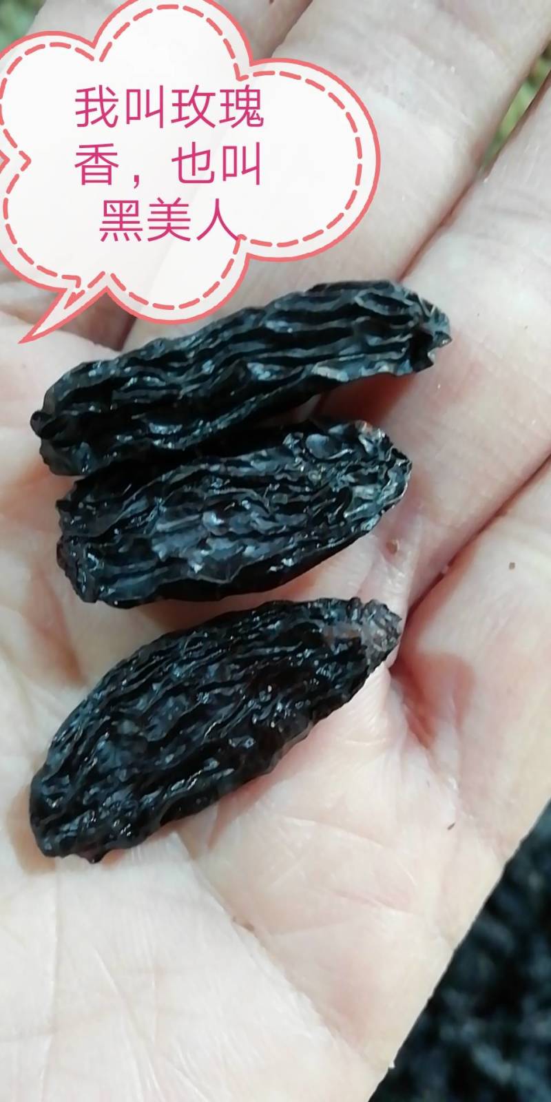玫瑰香葡萄干（又名黑美人），无籽，好吃不贵，两斤起包邮