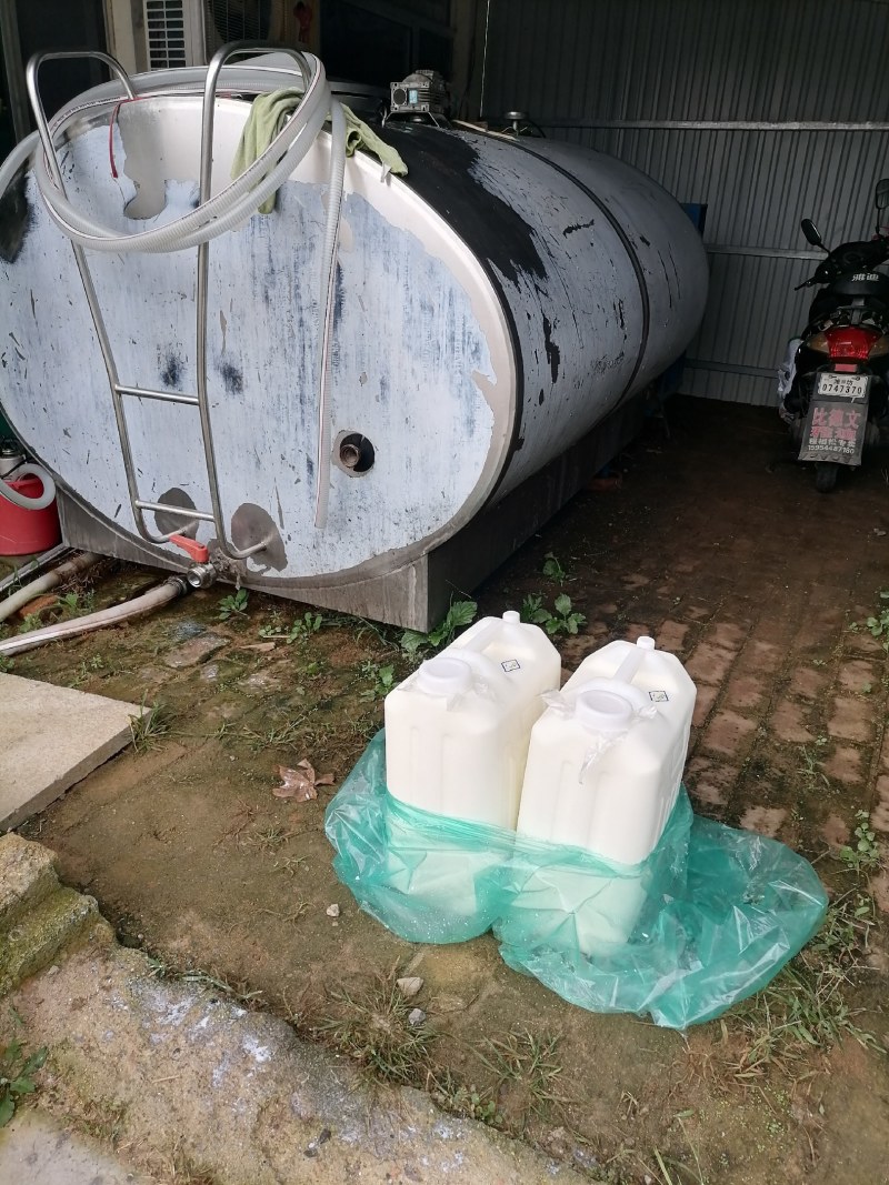 陕西纯种萨能羊鲜奶零添加现挤现卖支持全国发货