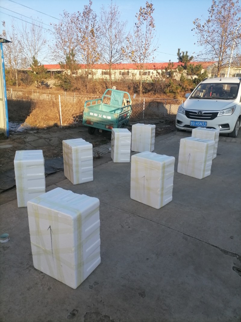 陕西纯种萨能羊鲜奶零添加现挤现卖支持全国发货