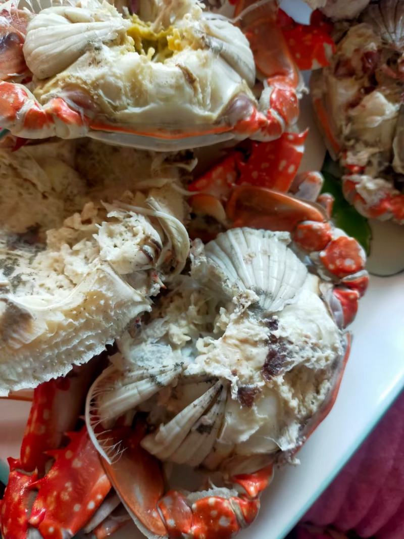 各种海鲜