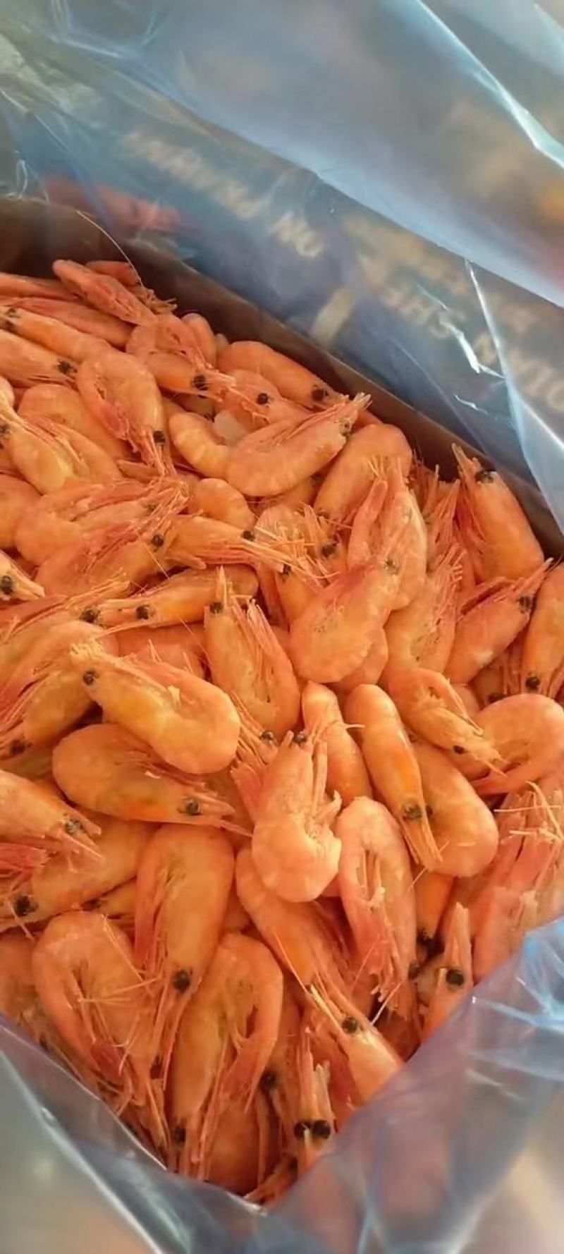 各种海鲜