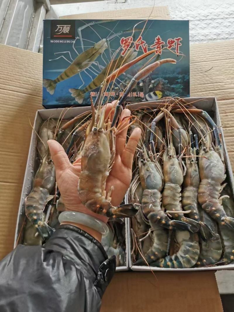 各种海鲜