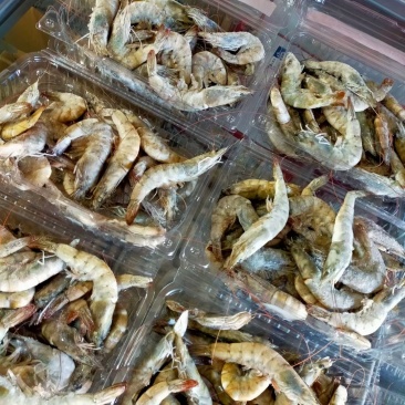 各种海鲜