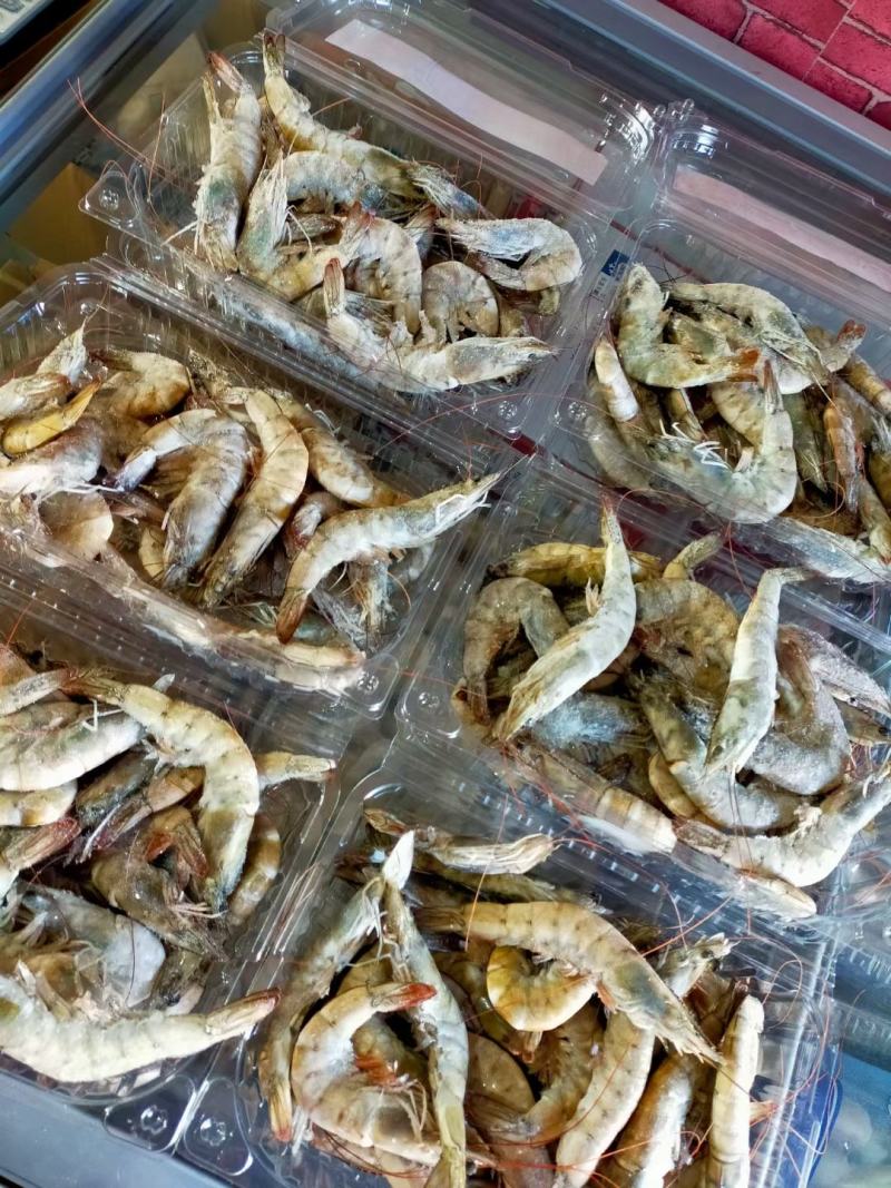 各种海鲜