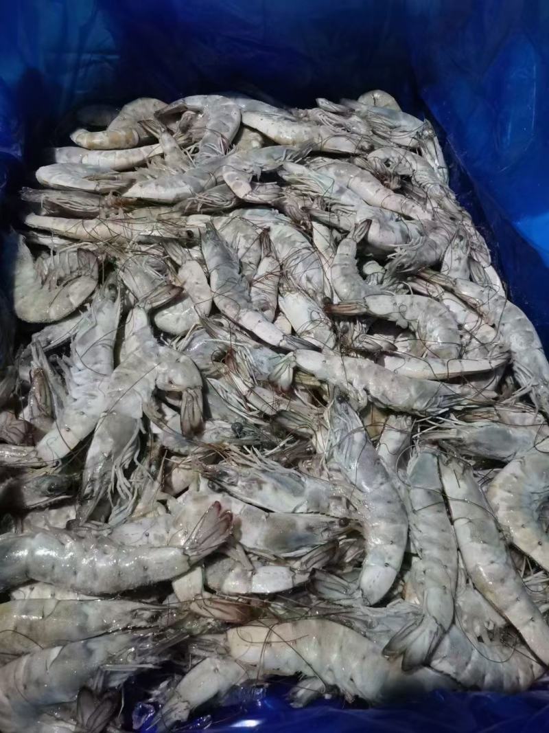 各种海鲜