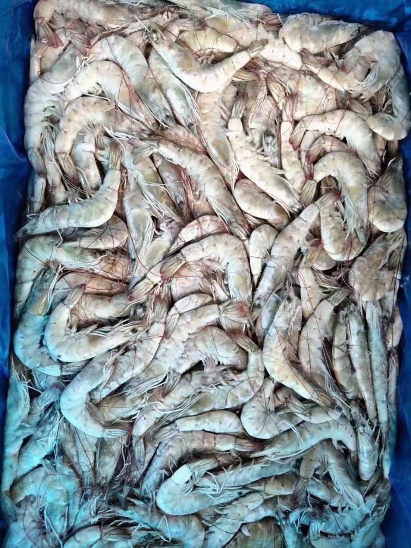 各种海鲜