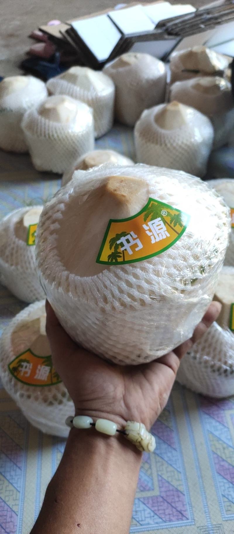 椰青2~3.5斤一个承接一件代发批量整车超商相关业务