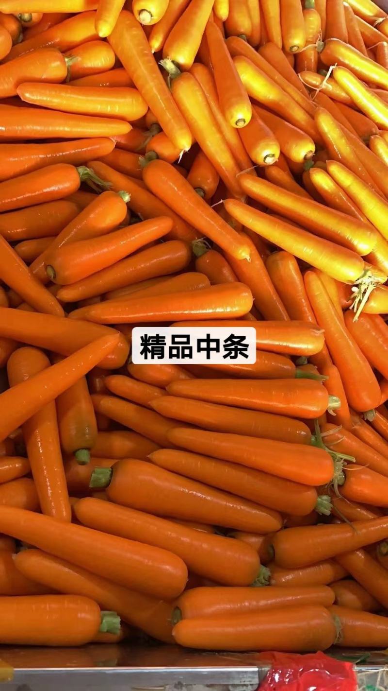 胡萝卜三红胡萝卜水洗土货中条小条大头各种包装都有