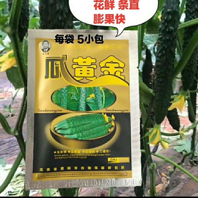 瓜黄金（5小包）黄瓜鲜花蘸花药顶花带刺顺直膨果快提高座果