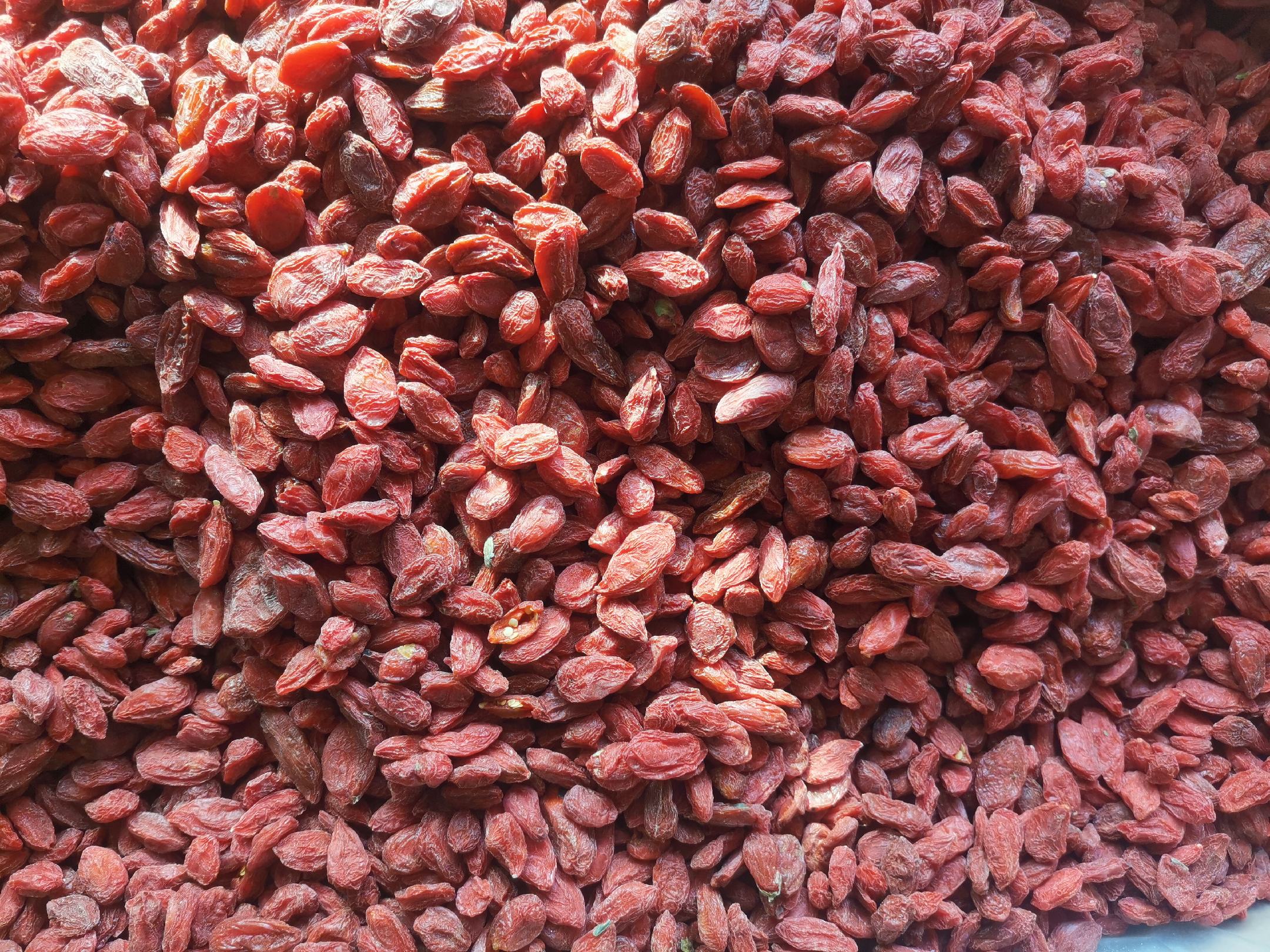 红枣与枸杞搭配图