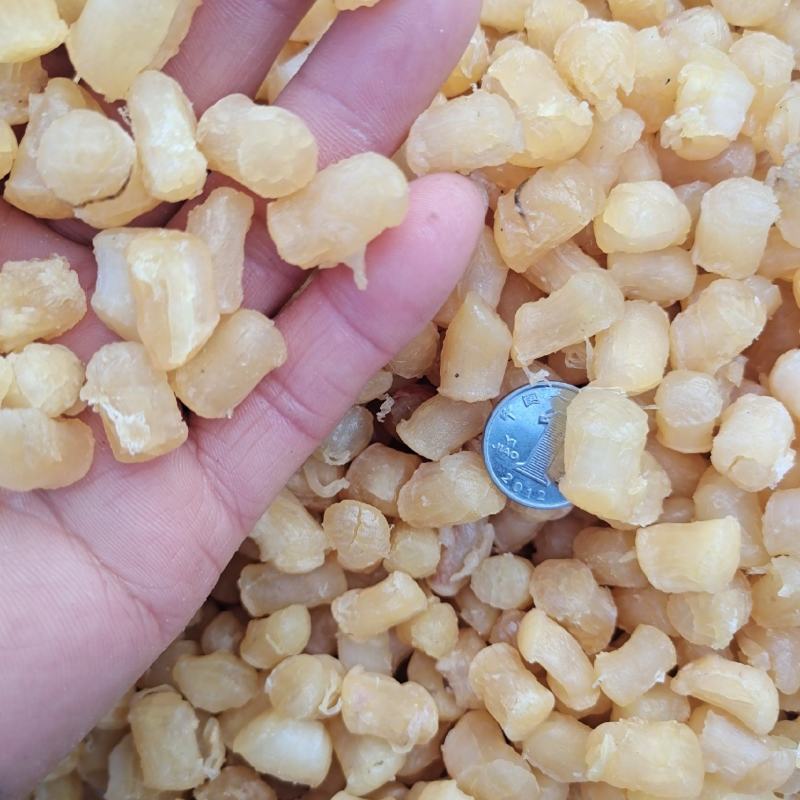 扇贝丁瑶柱各种规格都有质量好无沙一手货源产地直供