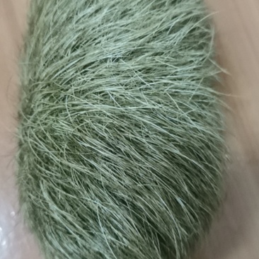 自家杀年猪，在猪肚子里面的。