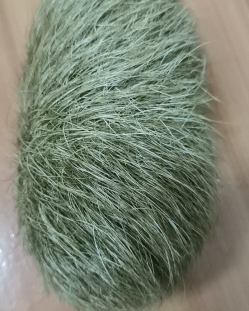 自家杀年猪，在猪肚子里面的。