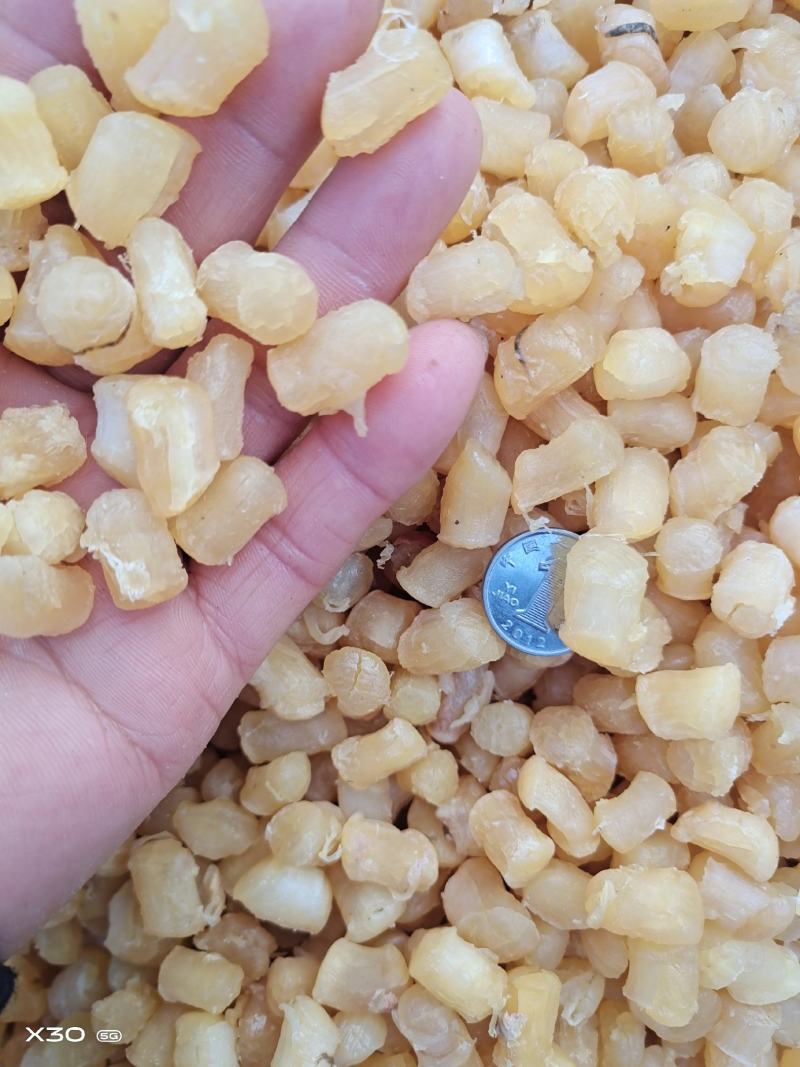 扇贝丁瑶柱各种规格都有质量好无沙一手货源产地直供