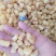 扇贝丁瑶柱各种规格都有质量好无沙一手货源产地直供