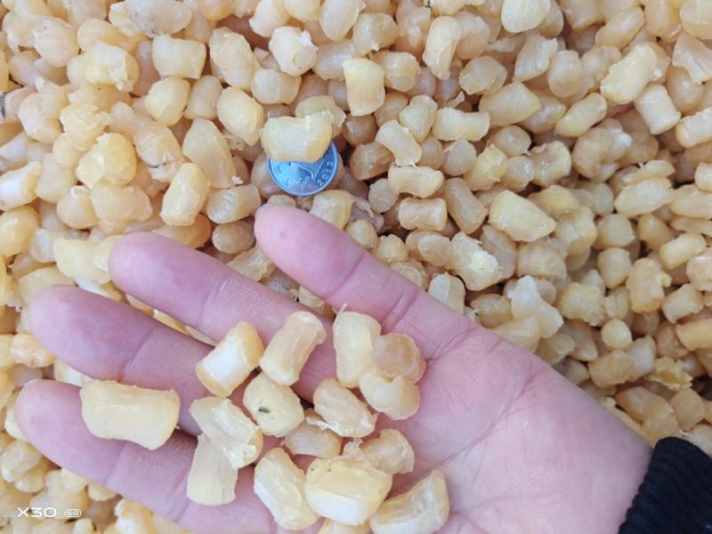 扇贝丁瑶柱各种规格都有质量好无沙一手货源产地直供