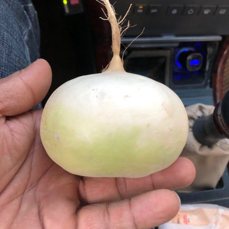 恰玛古拜城县的一级