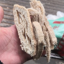 丝瓜络丝瓜瓤老丝瓜络丝瓜筋各种中药材批发